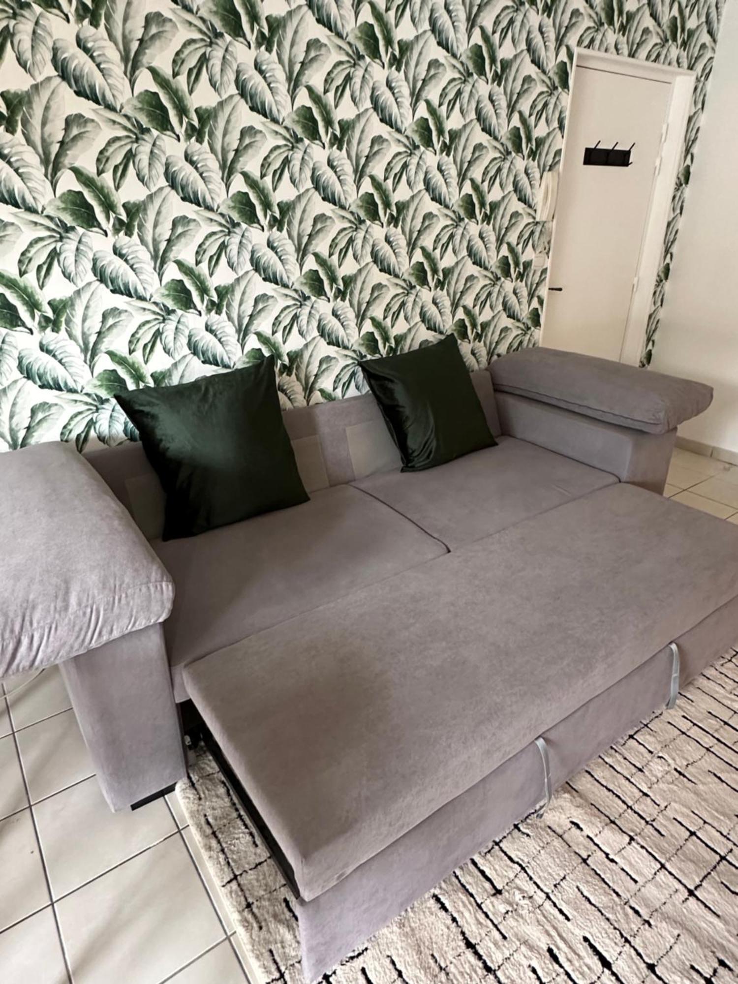 Appartement Entierement Renove ロワ エクステリア 写真