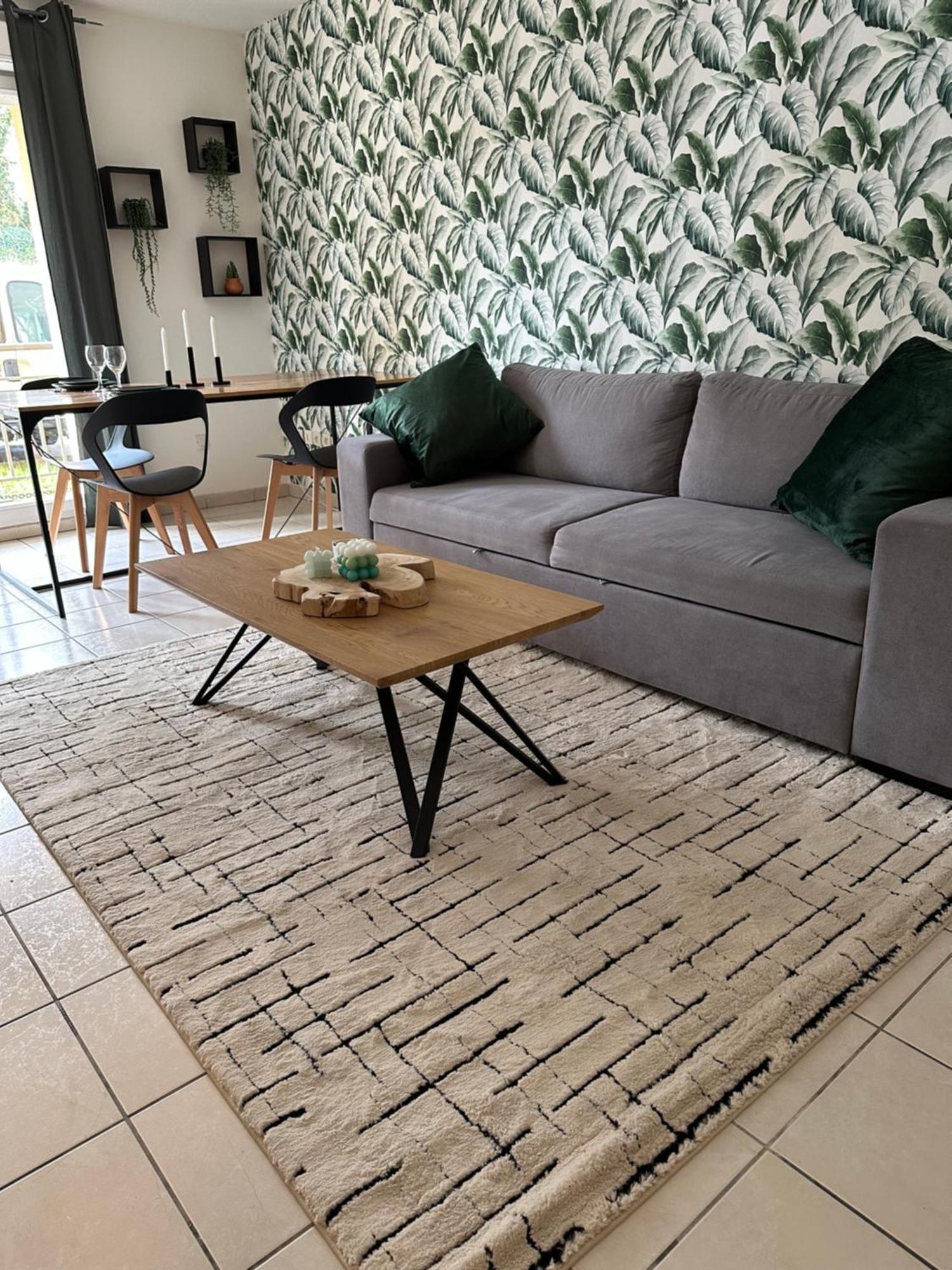 Appartement Entierement Renove ロワ エクステリア 写真